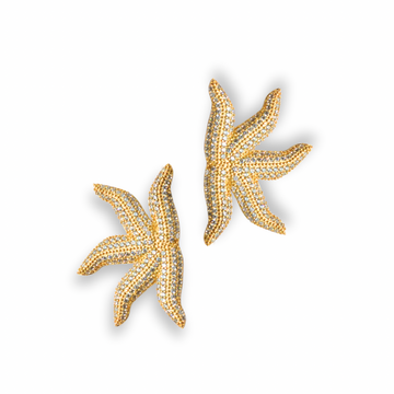 STAR OF THE SEA KÜPE