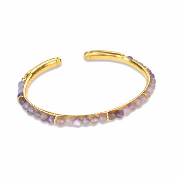 SPICE OF ANKLE IV KELEPÇE