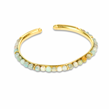 SPICE OF ANKLE VI KELEPÇE